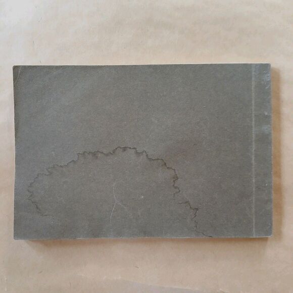 1900s Ryks Museum Amsterdam Series II Art View Booklet - Picture 3 of 8